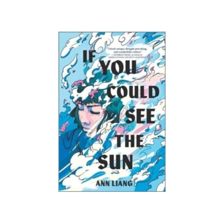 If you Could see the sun