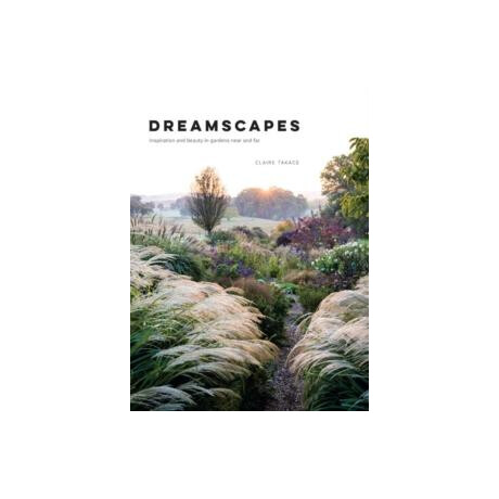 Dreamscapes