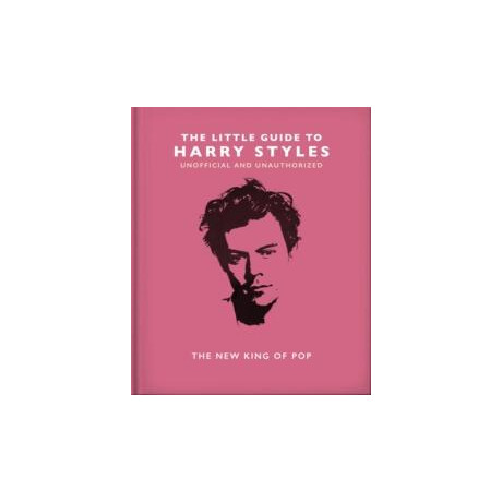 Little Guide to Harry Styles
