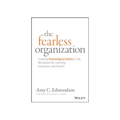 Fearless Organization