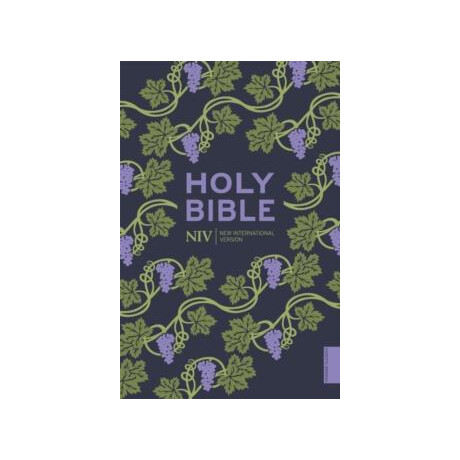 Niv Holy Bible (Hodder Classics)