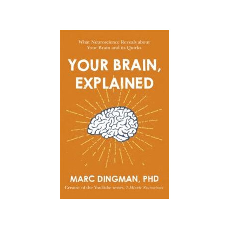 Your Brain, Explained