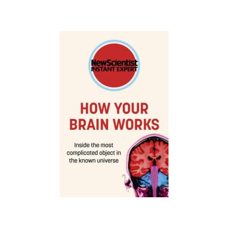 How Your Brain Works