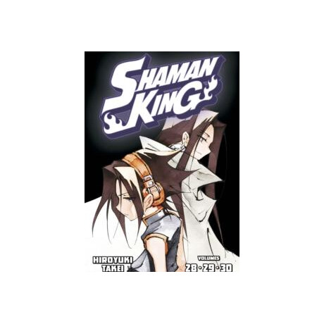 Shaman King Omnibus 10 (Vol. 28-30)