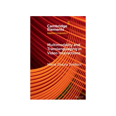 Multimodality and Translanguaging in Video Interactions