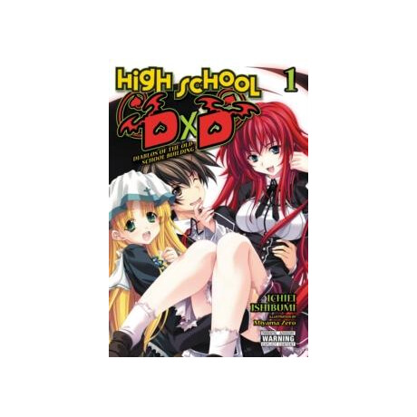 High School Dxd, Vol. 1 (Light Novel)