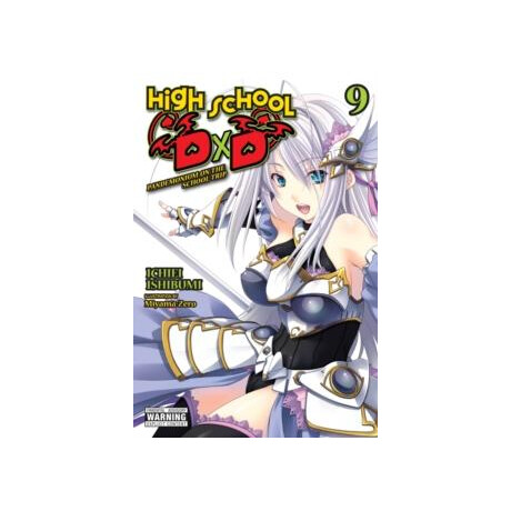 High School Dxd, Vol. 9 (Light Novel)