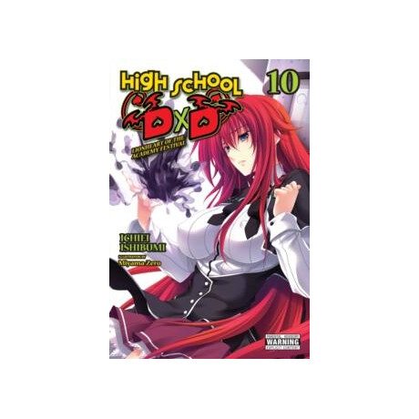 High School Dxd, Vol. 10 (Light Novel)