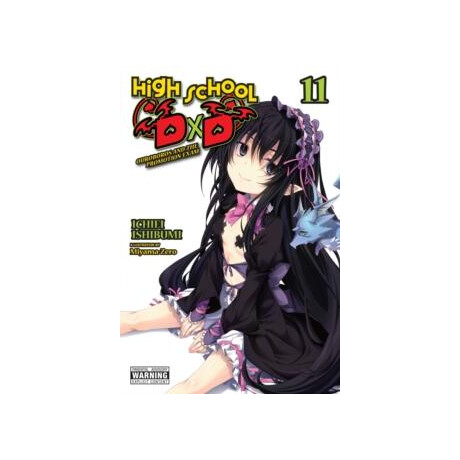 High School Dxd, Vol. 11 (Light Novel)