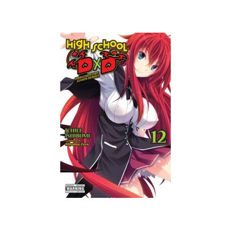 High School Dxd, Vol. 12 (Light Novel)