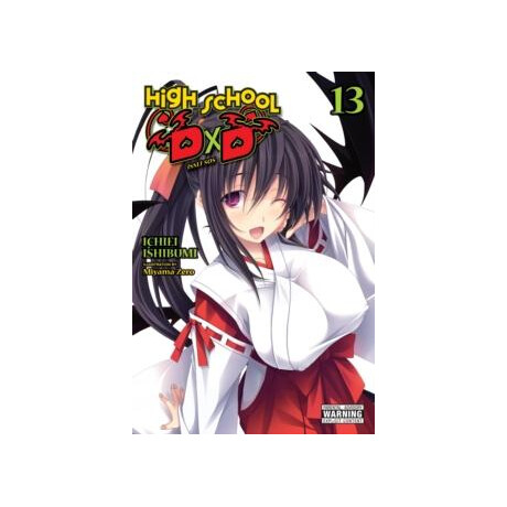 High School Dxd, Vol. 13 (Light Novel)