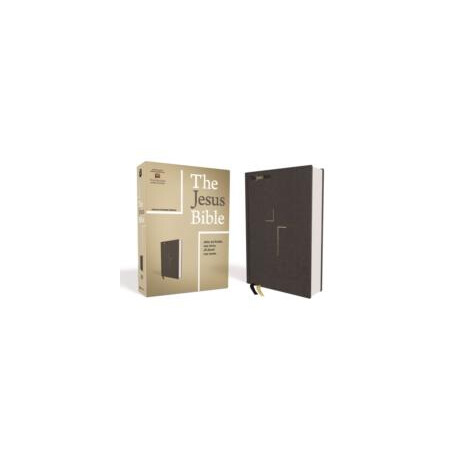 Jesus Bible, esv Edition, Cloth Over Board, Gray