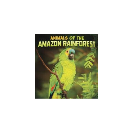 Animals of the Amazon Rainforest
