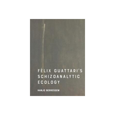 Felix Guattari's Schizoanalytic Ecology