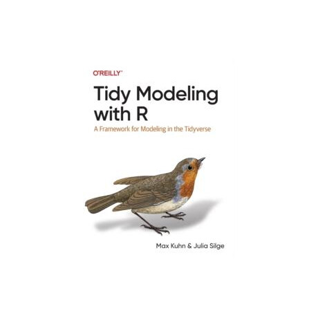 Tidy Modeling With r