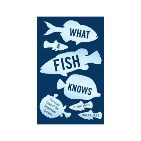 What a Fish Knows
