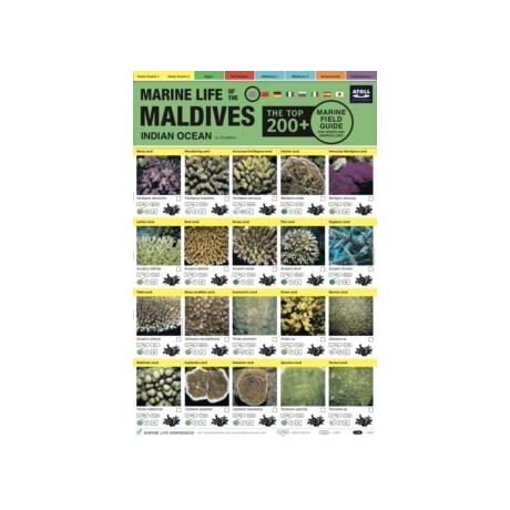 Maldives Marine Life Field Guide