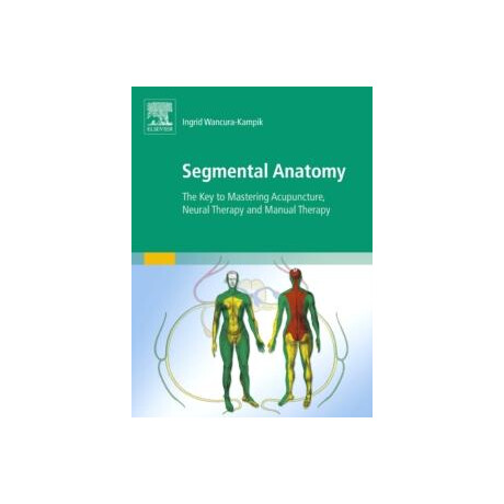 Segmental Anatomy