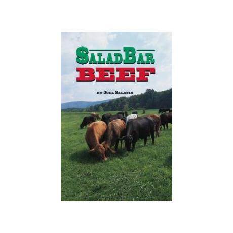 Salad bar Beef