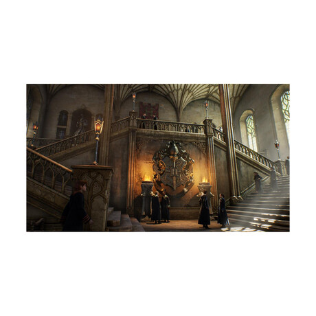 Ps5 Hogwarts Legacy