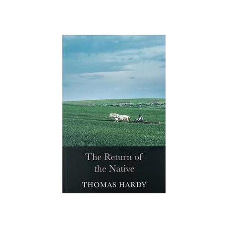 The Novels of Thomas Hardy: the Return of the Native