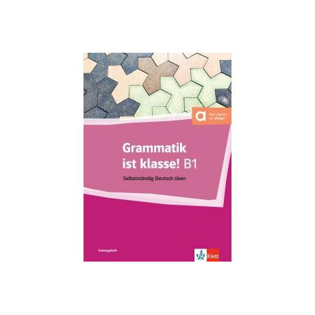 Grammatik ist Klasse! b1