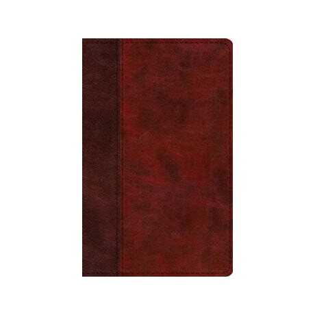 Esv Large Print Thinline Bible