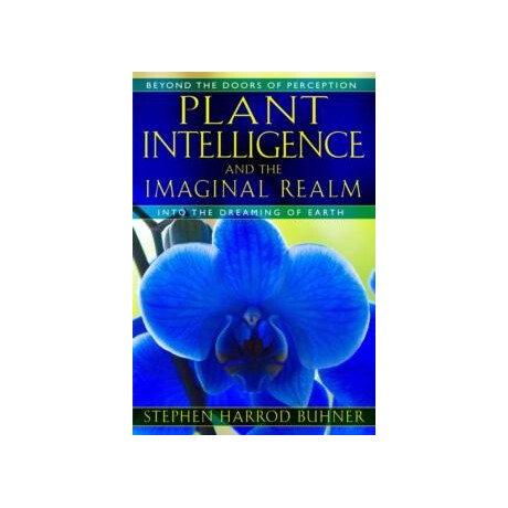 Plant Intelligence and the Imaginal Realm