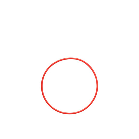 Olympus pol-058 o-Ring for pt-058 / pt-059