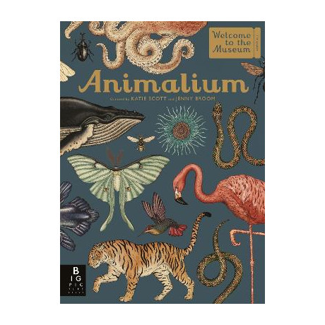 Welcome to the Museum: Animalium