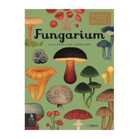 Welcome to the Museum: Fungarium