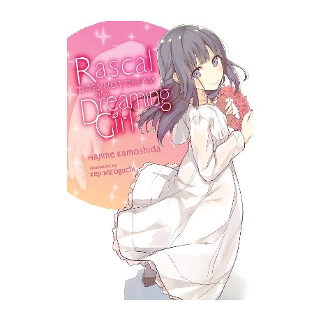 Rascal Does not Dream of a Dreaming Girl (Light Novel)