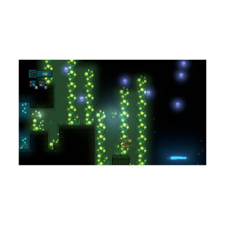 Nsw Nice day for Fishing