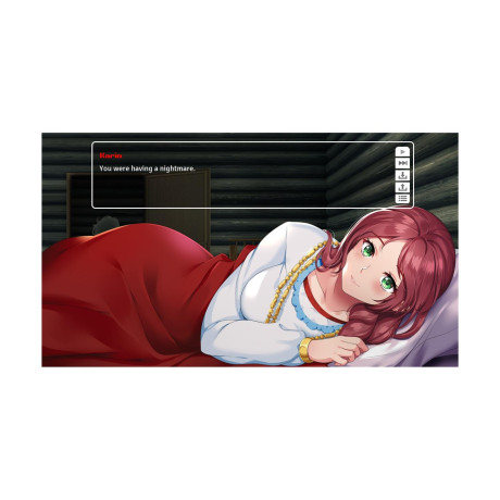 Nsw Cooking Companions Premium Edition