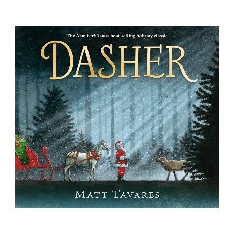 Dasher: how a Brave Little doe Changed Christmas Forever hc