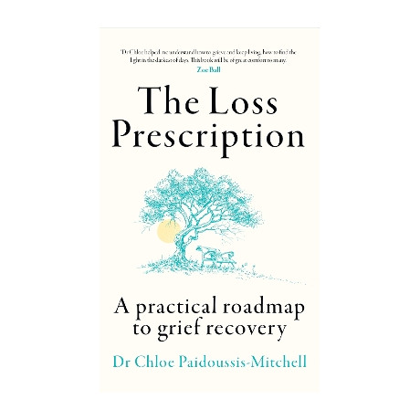 The Loss Prescription : a Practical Roadmap to Grief Recovery pb