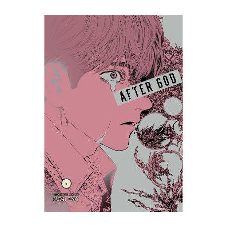 After God, Vol. 6  pa