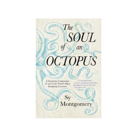 Soul of an Octopus