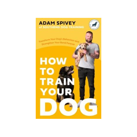 How to Train Your dog