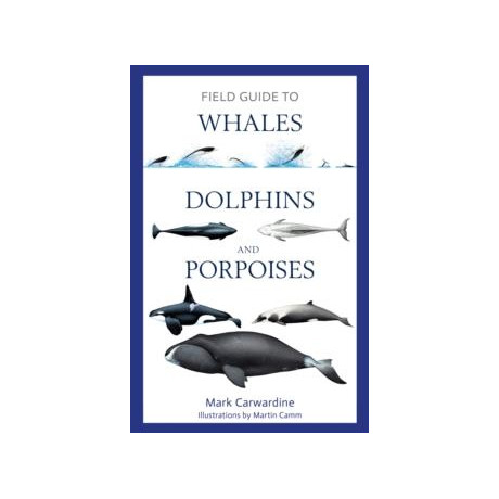 Field Guide to Whales, Dolphins and Porpoises