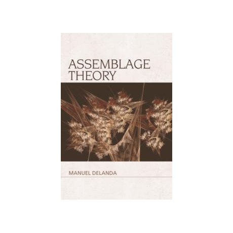 Assemblage Theory