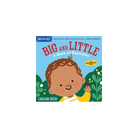 Indestructibles: big and Little: a Book of Opposites