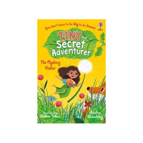 Tiny the Secret Adventurer: the Mystery Visitor
