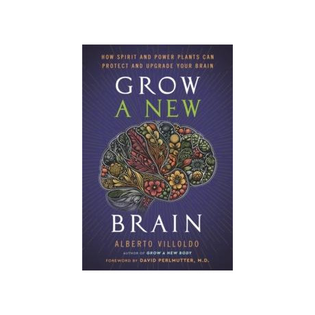 Grow a new Brain
