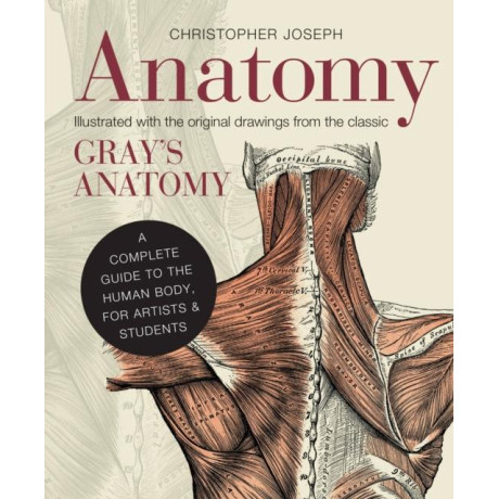 Anatomy : a Complete Guide to the Human Body, for Artists & Students
