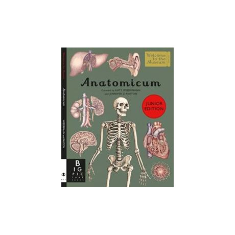 Anatomicum Junior