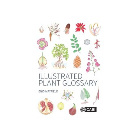 Illustrated Plant Glossary