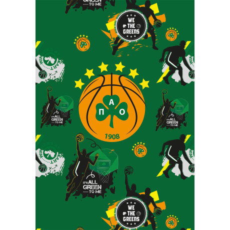 Τετράδιο Ριγέ Β5 - ΠΑΟ Μπάσκετ 2