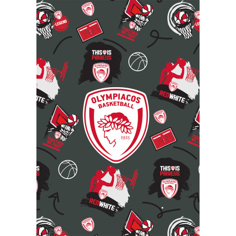 Τετράδιο Ριγέ Β5 - Ολυμπιακός Μπάσκετ 2
