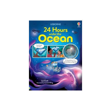 24 Hours Under the Ocean